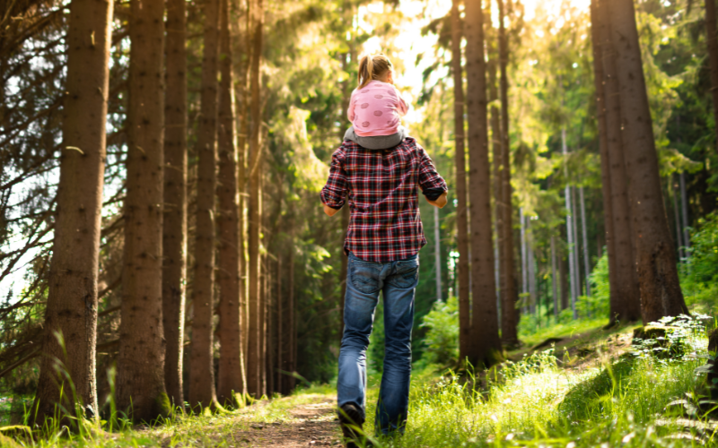 Dach der Schule Kirchhuchting
